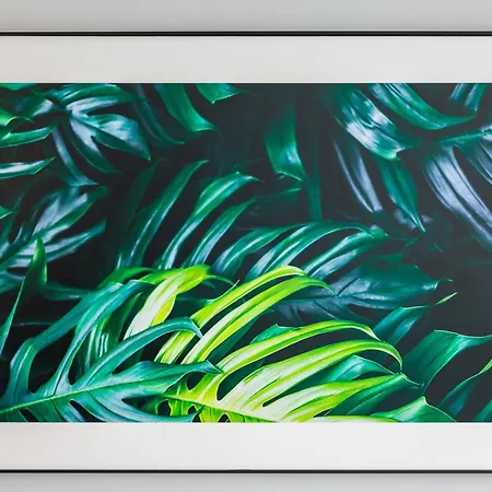 Kasino Ii 1º A * Monte Gordo