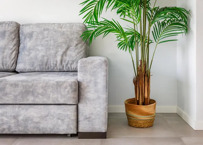 公寓 Kasino Ii 1º A 蒙蒂戈杜